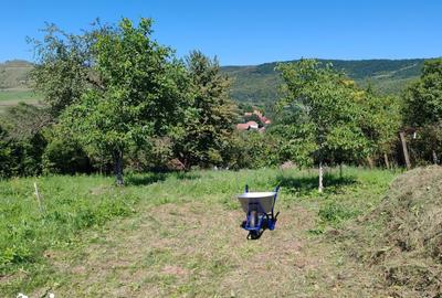 Teren de 1719 mp, în Baciu - 5