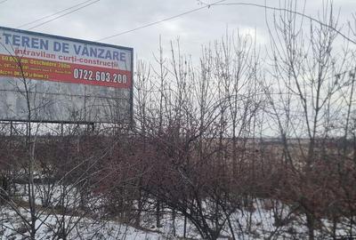 Teren de 60000 mp, în Bradu