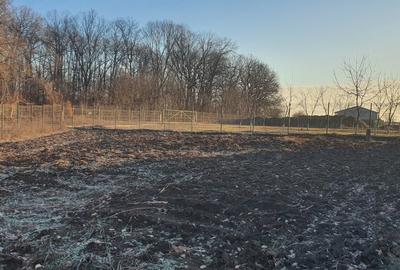 Teren Construcții intravilan de 600 mp, în Tâncăbești - 8