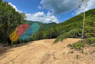 Teren 2200 mp, intravilan, zona Somesul Rece - 3