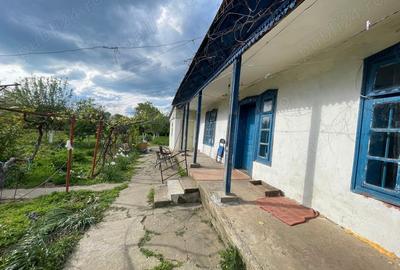 Casă cu 3 camere în Stănești - 10