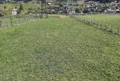 Teren de 1250 mp, în Central - 5