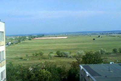 Teren de 5000 mp, în Roua - 3