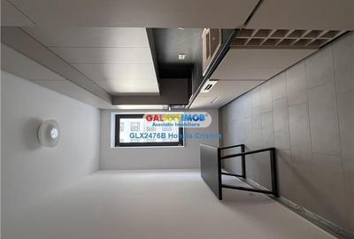 Inchiriere aparatament 2 camere mobilat parter gradina Greenfield - 10