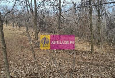 Teren intravilan de vanzare in Cornu de Jos - 2