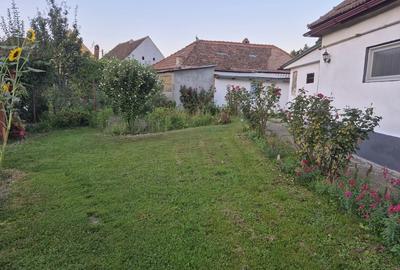 Casa de vanzarea - 5