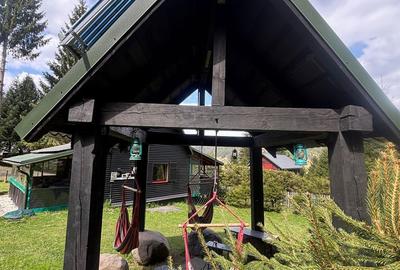 Casă cu 2 camere cu Teren 1500 Mp în Lunca - 3