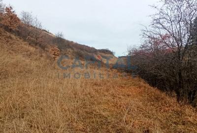 Teren Construcții extravilan de 2400 mp, în Săvădisla - 7