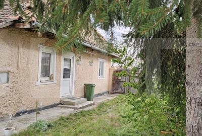 Casa taraneasca in centrul localitatii Ilieni – teren 832 mp. - 1