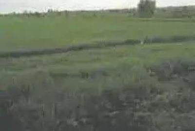 Teren extravilan Pietroasele, ID: R2586802 - 8