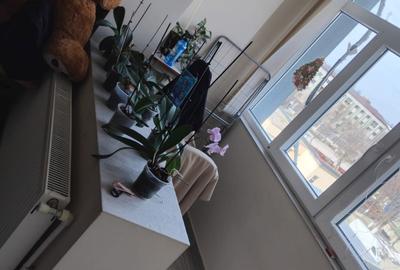 Garsonieră decomandată în Central - 1