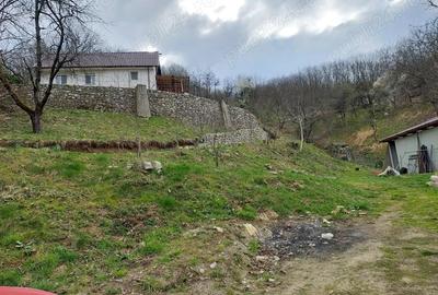 Casă cu 3 camere cu Teren 5400 Mp în Central - 1