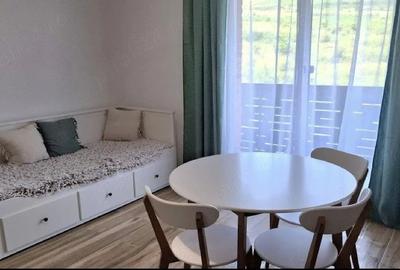 Apartament cu 2 camere semidecomandat în Chinteni - 5