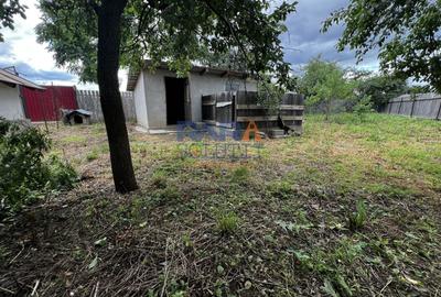 Casă cu 3500 mp teren, Sat Miron Costin - Brănișteni (str. Macilor) - 9