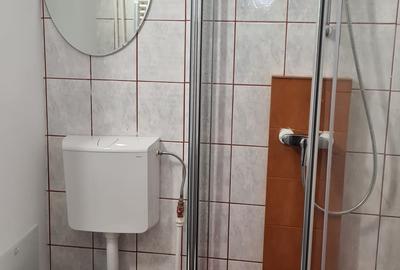 Apartament 4 camere Nicolina-Rond Vechi-Selgros, etaj intermediar - 9