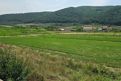 Casă cu 6 camere în Leșnic - 17