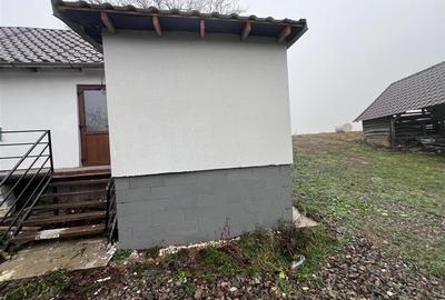 RECO, casa in Sinteu, aproape de Huta Slavia - 12