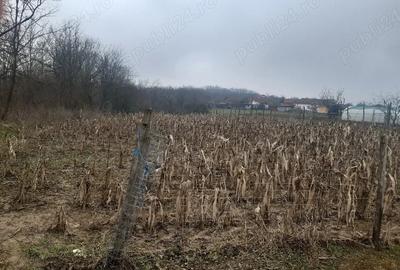 Casă cu 2 camere în Zegujani - 2