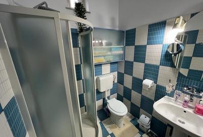 GARA-ABATOR VILA P+M, TEREN 280 MP. 7 CAMERE, 2 BAI, GARAJ, CURTE AMENAJATA - 17