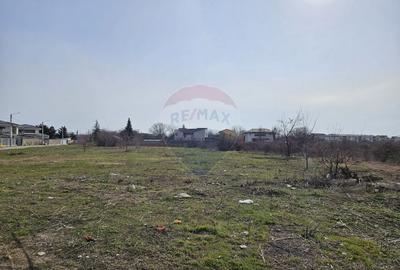 Teren Construcții intravilan de 5325 mp, în Odăi