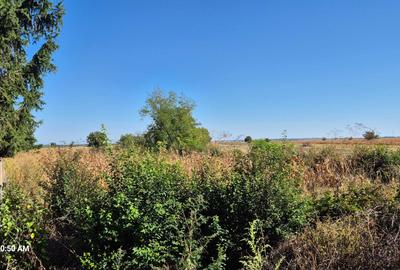 Spațiu comercial, în Central - 2