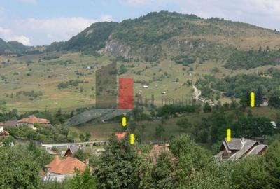 Teren intravilan 3214 mp  în Rucăr cu deschidere 56 m în DN73 - 5