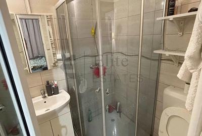 Apartament ultracentral cu 1 camera de inchiriat in Oradea - 4