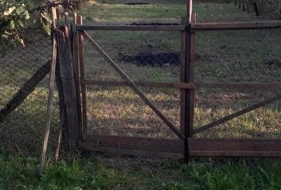 Casă cu Teren 2000 Mp în Saca - 4