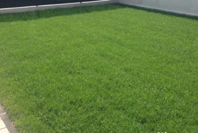 Casă cu 4 camere cu Canalizare în Domnești - 1