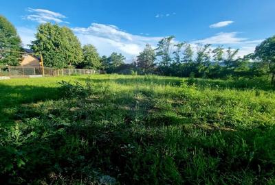 Teren 1,749mp Piatra-Neamt / Strada Zambilelor - 9