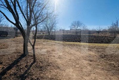 Casă cu Teren 3200 Mp în Central - 3