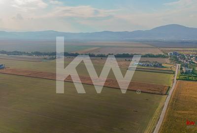 Teren industrial 6100 mp. cu PUZ in Cristian BV - 3