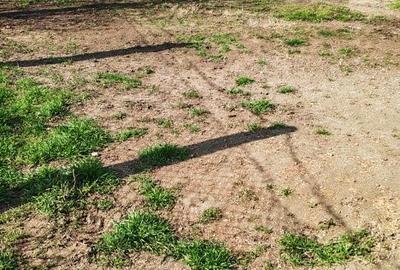 Casă cu 3 camere în Central - 5