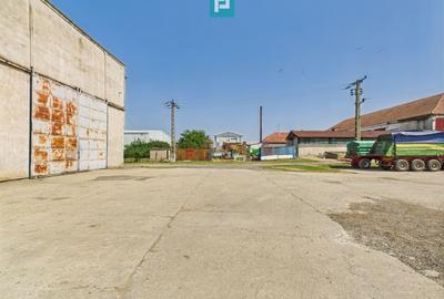 Spațiu industrial, de 700 mp, în Orțișoara - 10