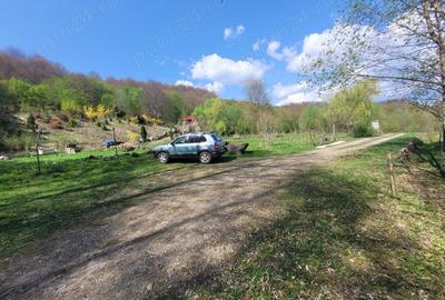 Teren de 4000 mp, în Satu Mare - 1
