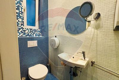 Spatiu birouri premium | Vila interbelica | Dorobanti - 19