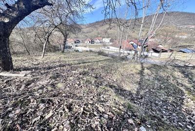 Spațiu comercial, în Central - 3