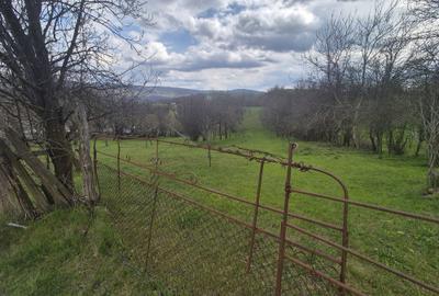 Spațiu comercial, în Făget - 3