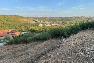 Teren de 800 mp, în Săldăbagiu de Munte - 1