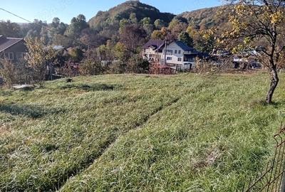 Teren de 1028 mp, în Băcești - 8