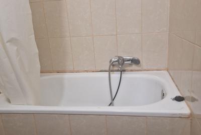 Garsonieră în Buziașului - 14