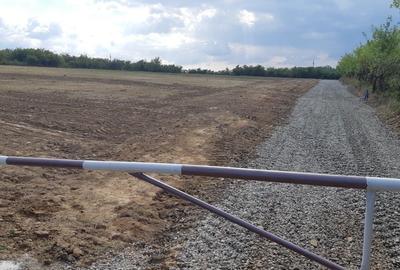 Teren de 6200 mp, în Ardud - 4