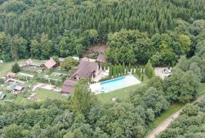 Spațiu comercial, de 800 mp, în Valea Crișului - 9