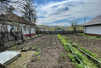 Casa + teren 1312 mp de vanzare in Tisau, Buzau - 4