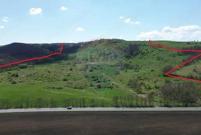 Teren de 659000 mp, în Copșa Mică - 1