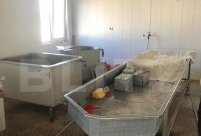 Afacere la cheie + casa, 160mp, Baraitaru - 31