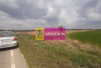 Teren Construcții intravilan de 5110 mp, în 1 Decembrie - 9