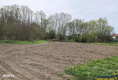 Spațiu comercial, în Lunca Calnicului - 7