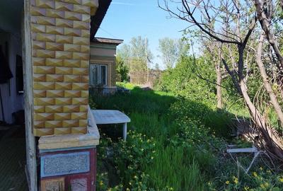 Casă cu 3 camere cu Teren 3500 Mp în Slobozia - 2