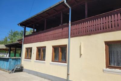 Casă cu 5 camere cu Teren 3000 Mp în Olanu - 2